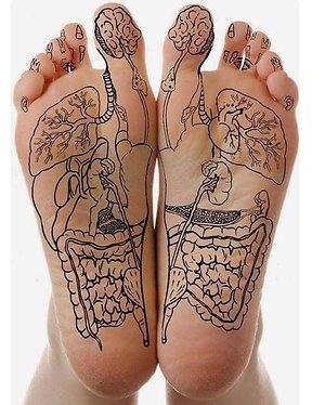 Hand and Foot Reflexology. feet map